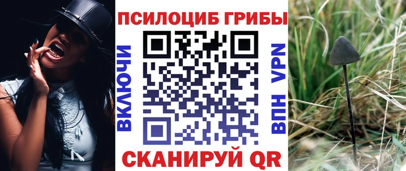 Псилоцибиновые грибы ЛСД  Гороховец 